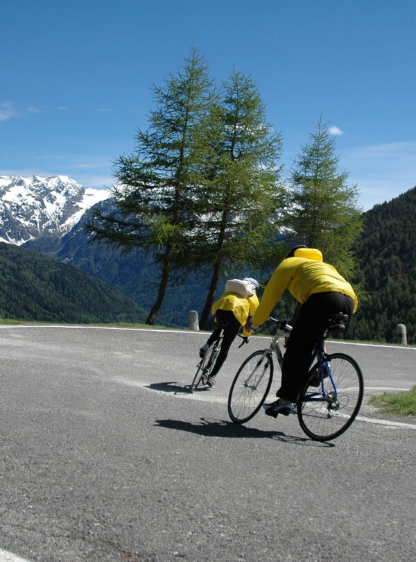 Downhill,Bike,Between,Mountain,Roads